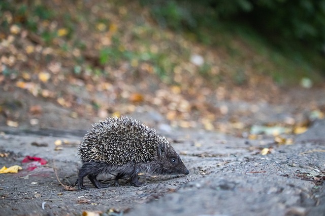 场判断上有 场判断上有