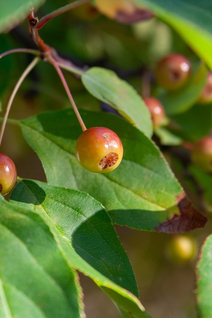 信心与动力 信心与动力