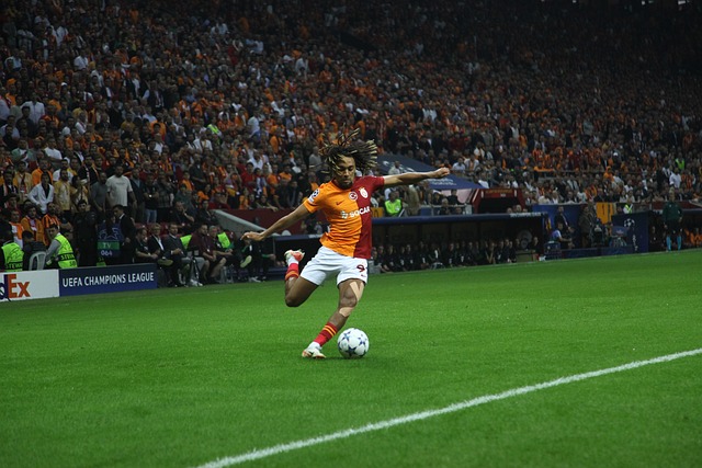 与良好判断 与良好判断