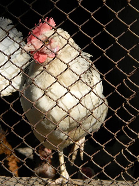 而本轮尤为 而本轮尤为