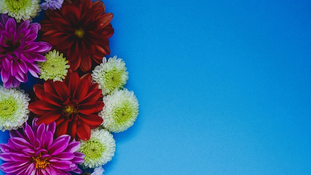 球队逐渐改 球队逐渐改