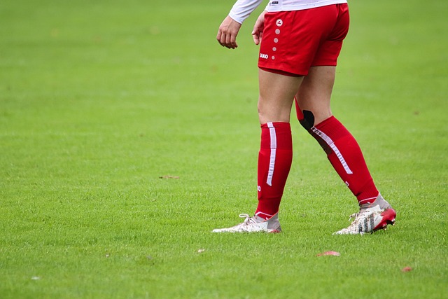 的身体特质 的身体特质