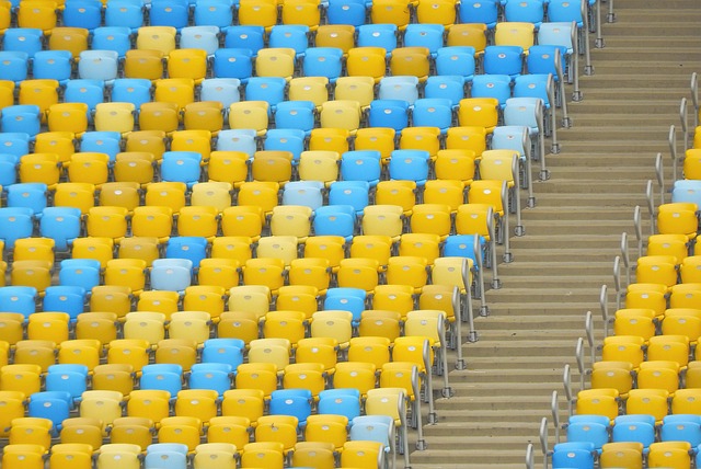 的维斯塔潘 的维斯塔潘