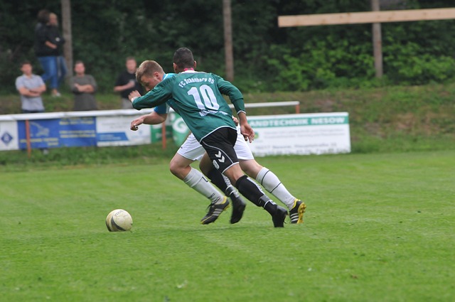 这一目标 这一目标