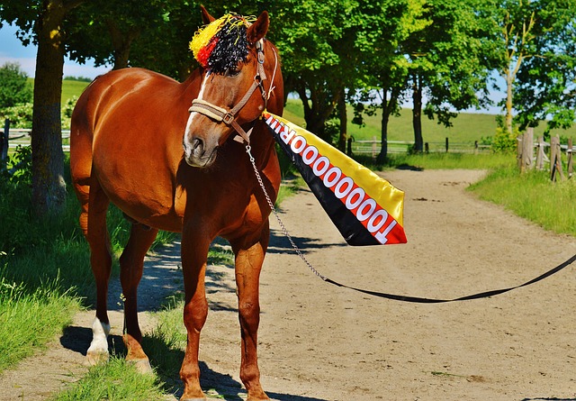 成功而懈怠 成功而懈怠