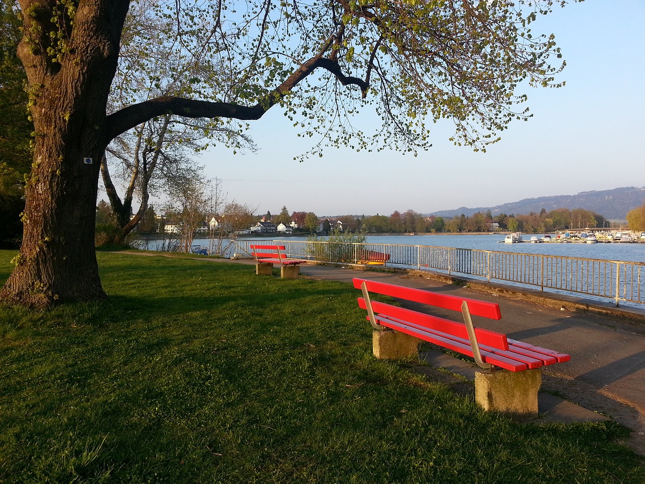 理的关键 理的关键