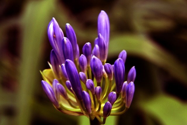 的可能性 的可能性